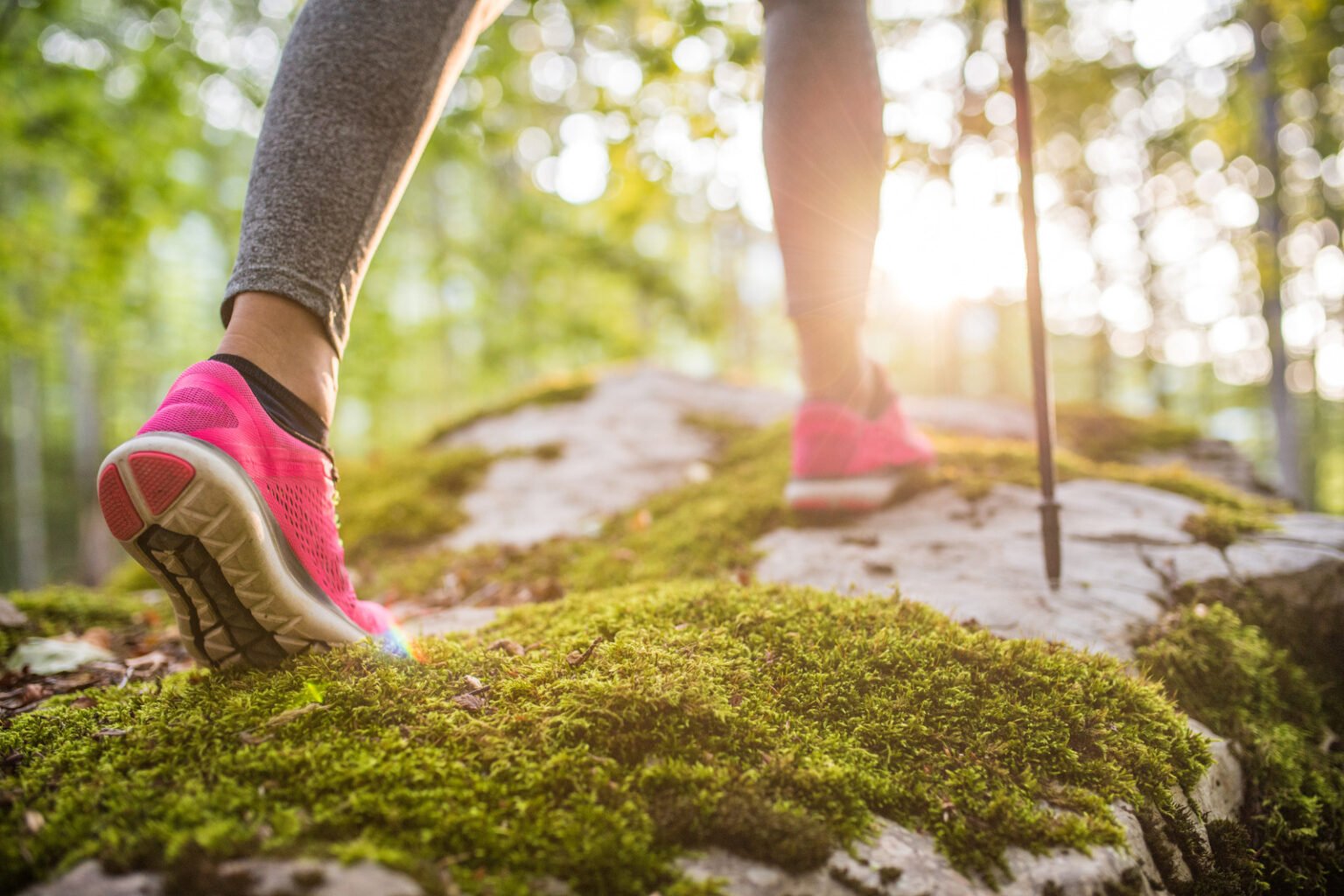 Welcome to STEPtember: Your Ultimate Guide to a Month of Movement ...
